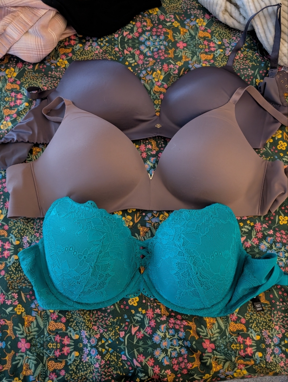 38dd Bra Bundle